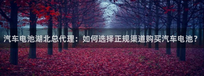 优发娱乐官网地址