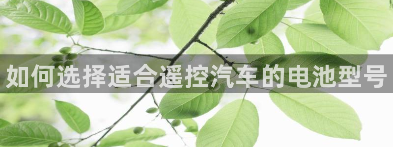 优发国际首页官网