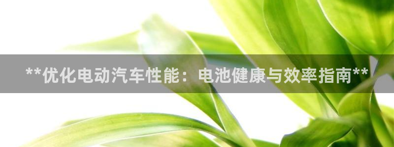 优发国际平台app下载苹果版