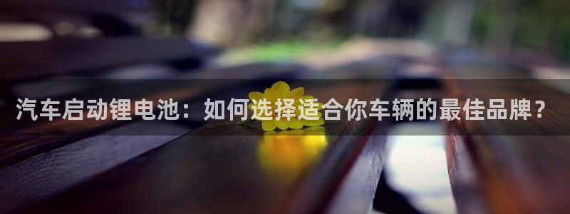 优发娱乐国际线上