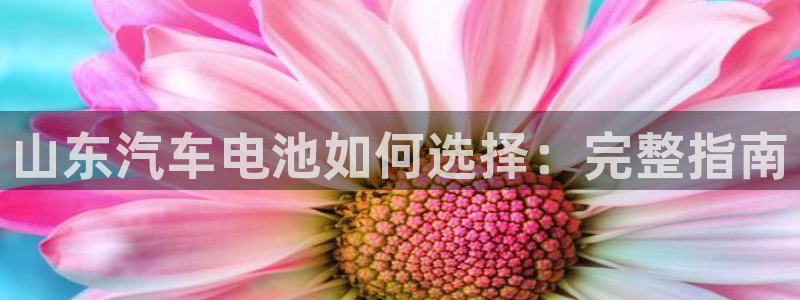 优发国际官网